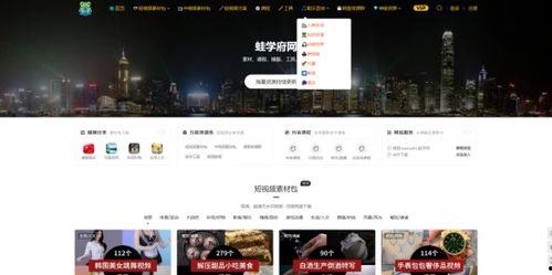 石榴视频网站app下载 