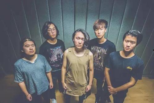 乐播视频app下载官方版正版安装 